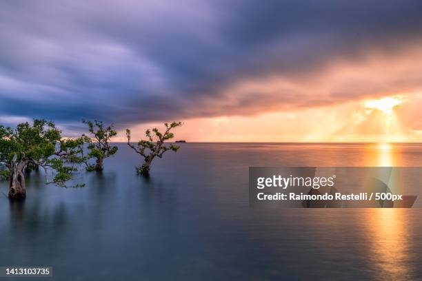 scenic view of sea against sky at sunset,siargao island,philippines - mindanao foto e immagini stock