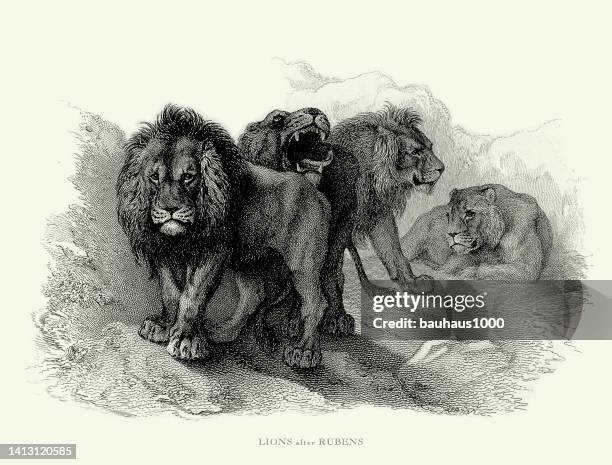 91点のライオン 寝ているイラスト素材 Getty Images 91点のライオン 寝ているイラスト素材 Getty Images