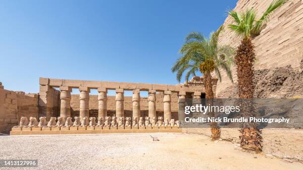 ram headed sphinxes, karnak temple, luxor, egypt. - temples de karnak photos et images de collection