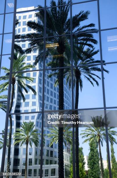 skyscraper, reflections in windows and palm trees in costa mesa, california. - costa mesa stockfoto's en -beelden