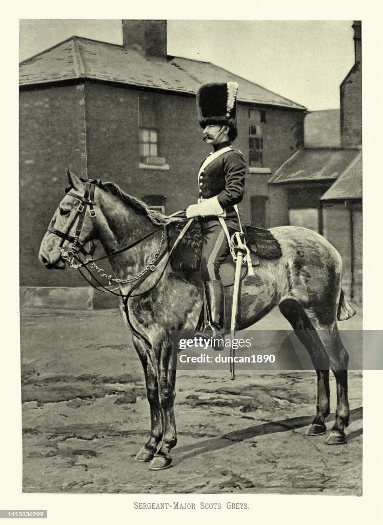 Victorian British Army, Sergeant Major of the Scots Greys cavalry regiment, Military uniforms 19th Century