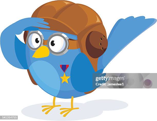 decorated flying ace - aviation hat stock illustrations