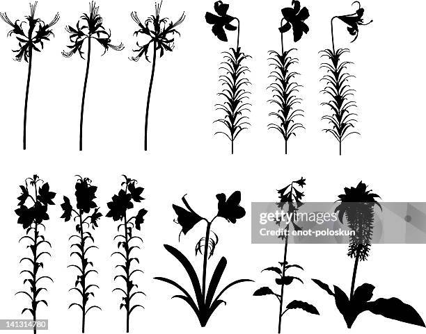 lilien silhouetten - easter lily stock-grafiken, -clipart, -cartoons und -symbole