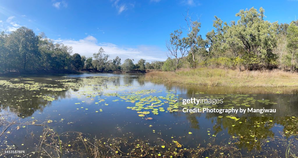 Strategic Water Supply Dam for Beef Cattle