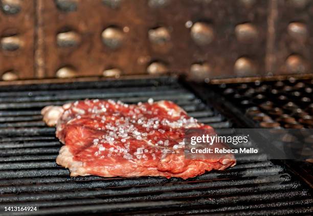 meat seasoned with coarse salt on the grill - salted fotografías e imágenes de stock