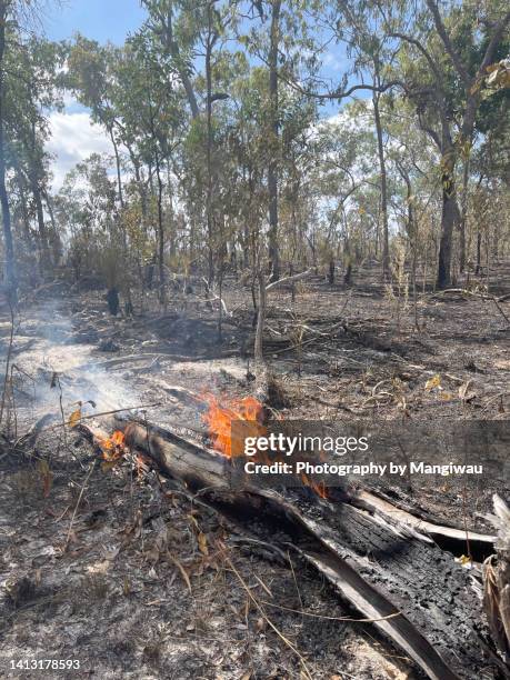 australian bushfire country - lingering fotografías e imágenes de stock