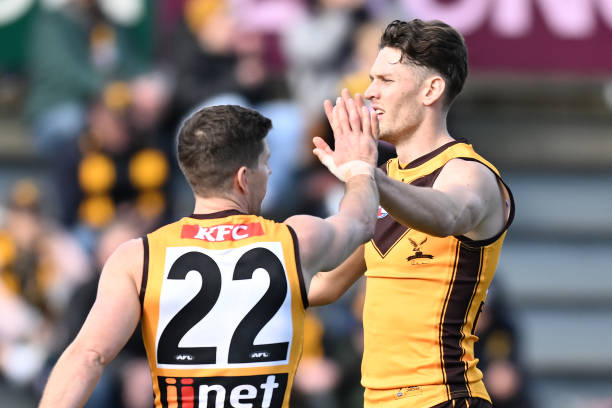 Jacob Koschitzke of the Hawks celebrates a goal during the round 21 AFL match between the Hawthorn Hawks and the Gold Coast Suns at University of...