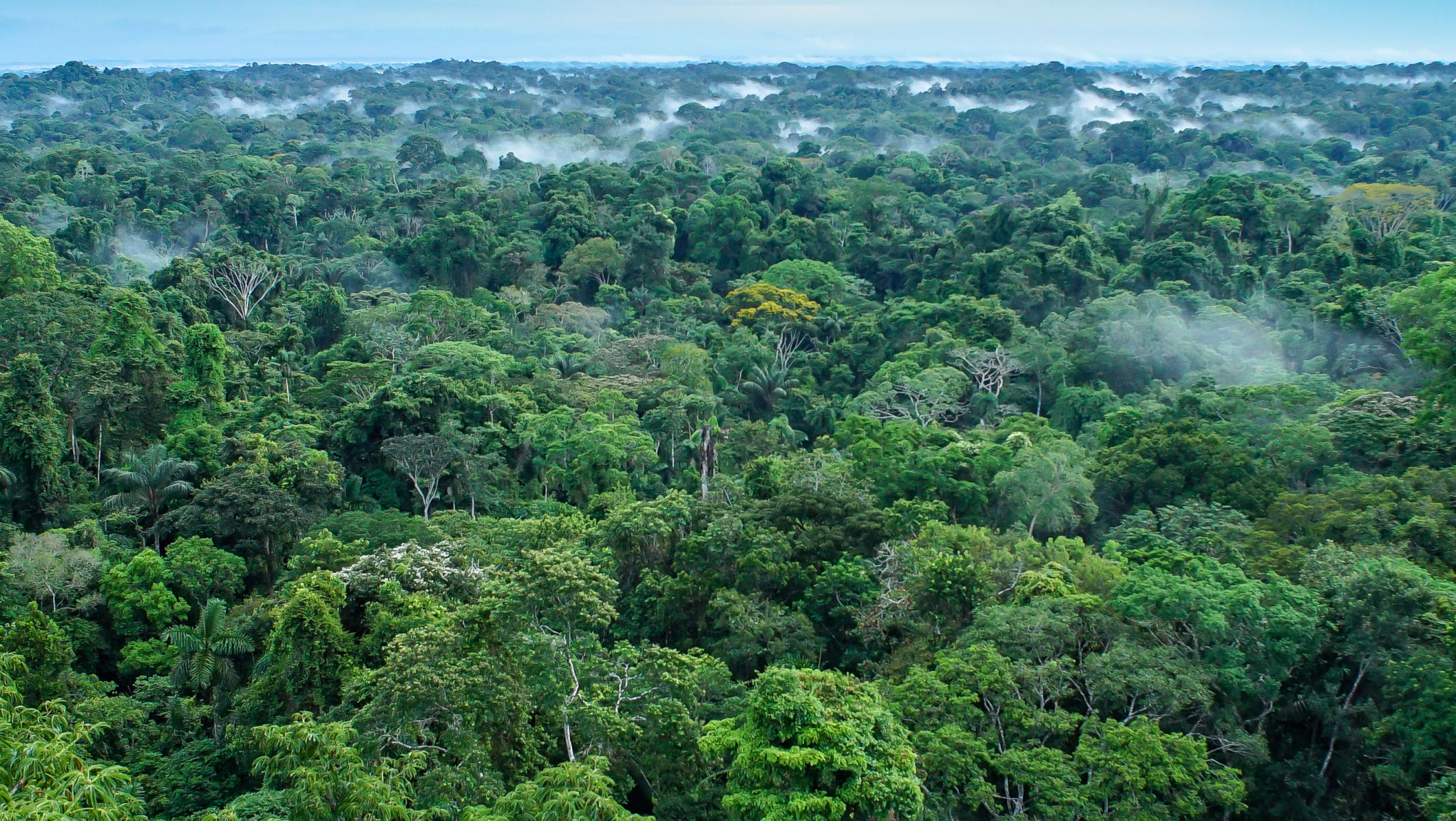 ecuador climate