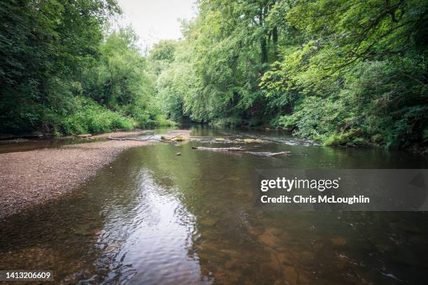 river nidd at knaresborough - riverbank stock pictures, royalty-free photos & images