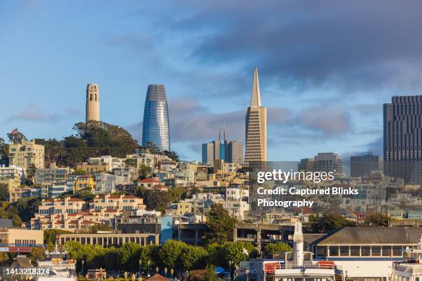 downtown san francisco skyline and fisherman's wharf area from the sea - twin peaks stock pictures, royalty-free photos & images