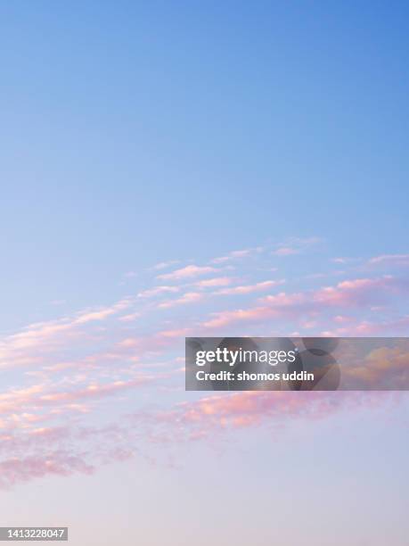 soft pink clouds against blue sky at sunset - wispy stock pictures, royalty-free photos & images