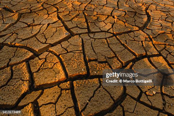 dry cracked soil - desertification stock pictures, royalty-free photos & images