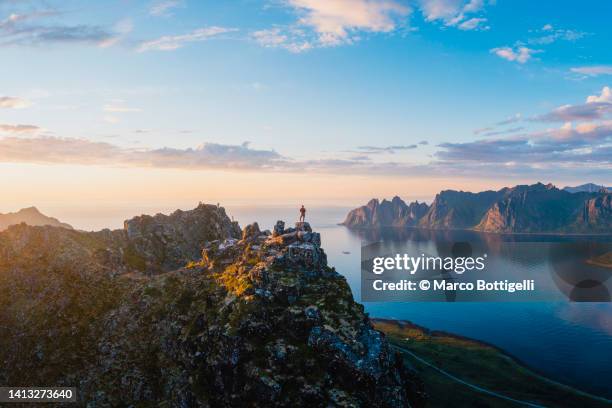 man standing on mountain top above a fjord, norway - isola di senja foto e immagini stock