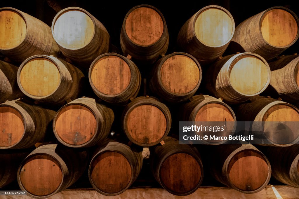 Barrels in a wine cellar