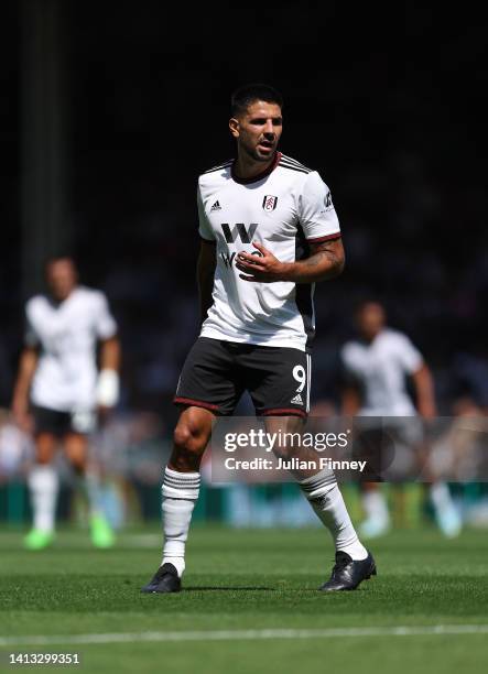 Aleksandar Mitrovic of Fulham looks on during the Premier League match between Fulham FC and Liverpool FC at Craven Cottage on August 06, 2022 in...