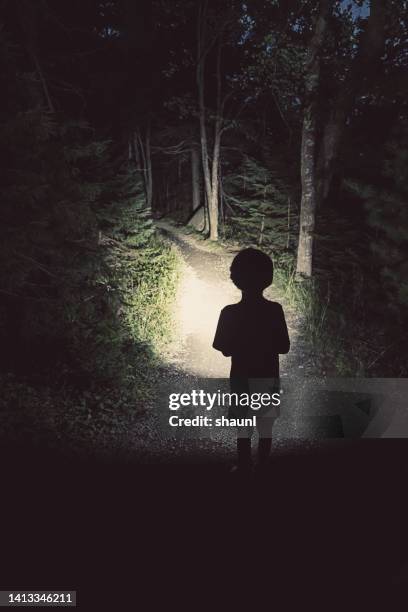 boy hiking at night - flashlight 個照片及圖片檔