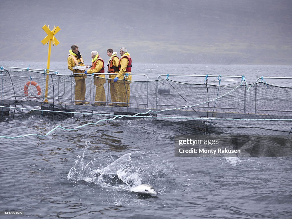 Salmon farmers on pontoon of Scottish salmon farm over sea loch