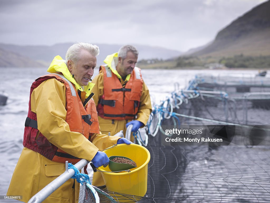 Salmon farmers feeding fish on pontoon of Scottish salmon farm over sea loch