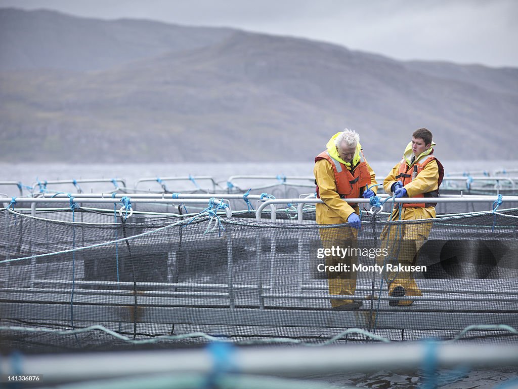 Salmon farmers pulling nets and ropes on Scottish salmon farm pontoon