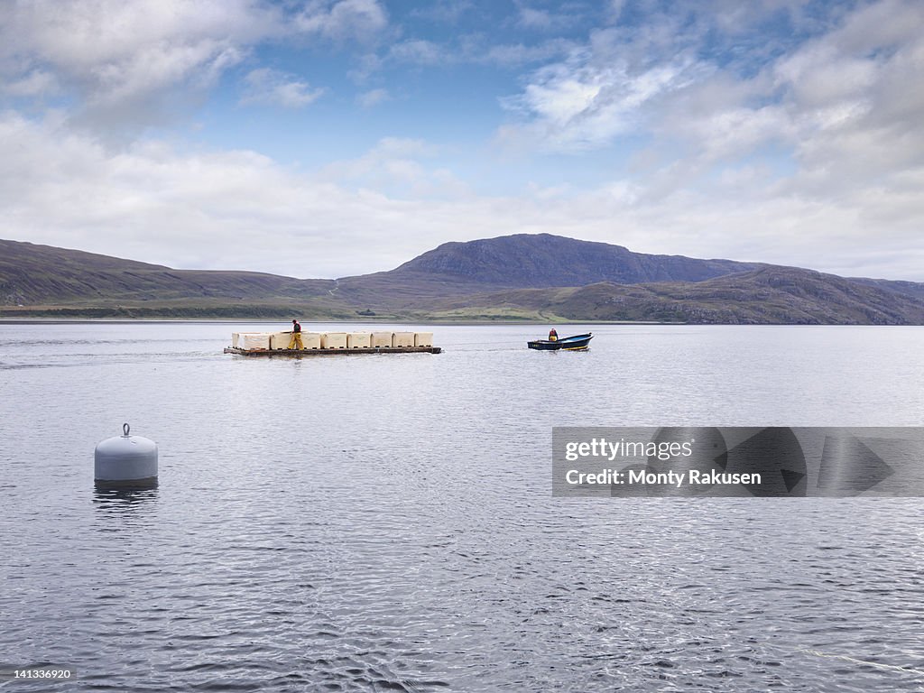 Barge with harvested fish on loch of Scottish salmon farm