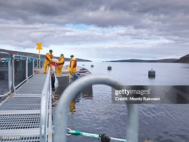 men unloading fishing boat on scottish salmon farm on loch - to pull together stock pictures, royalty-free photos & images