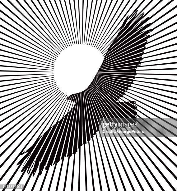 bald eagle flying into sunset - bald eagle wings stock illustrations