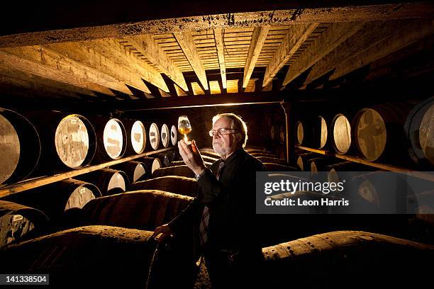 worker testing whisky in distillery - scottish foto e immagini stock