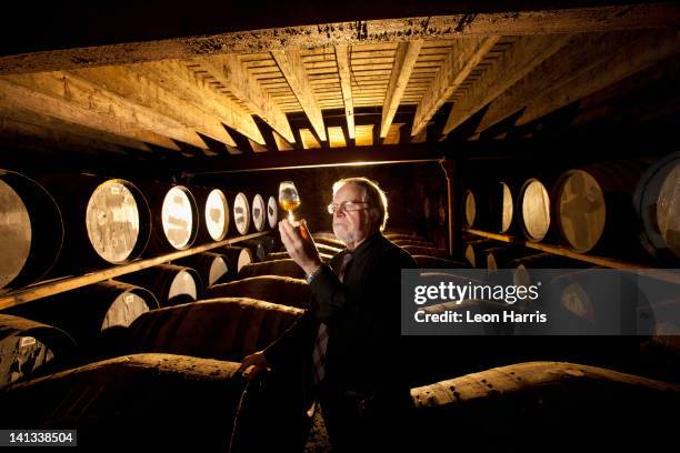 worker testing whisky in distillery - distilleerderij stockfoto's en -beelden