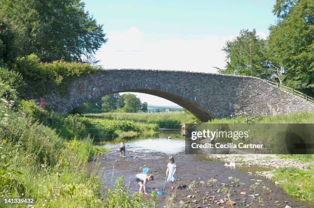 crianças brincando no espaço rural creek - com os pés na água imagens e fotografias de stock