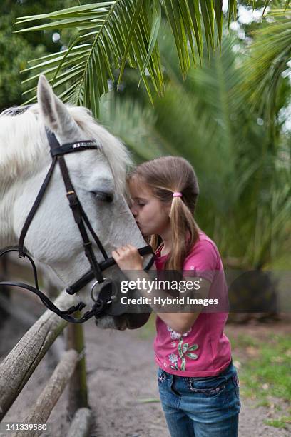 girl kissing horse in yard - endast flickor bildbanksfoton och bilder