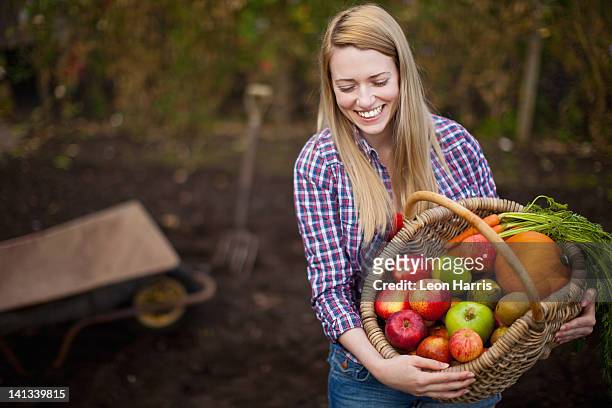 woman gathering vegetables in garden - panier legumes photos et images de collection