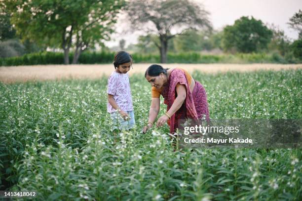grandmother and granddaughter in the farm - maharashtra stock pictures, royalty-free photos & images