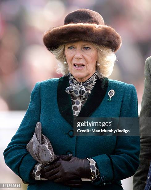 Camilla, Duchess of Cornwall wears a brooch previously worn by Princess Diana as she attends day 2 'Ladies Day' of the Cheltenham Horse Racing...