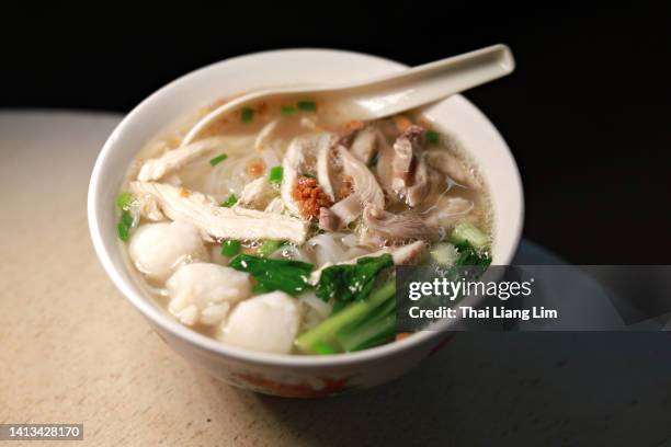 flat rice noodles soup withe duck meat and fish ball - macarrão de arroz imagens e fotografias de stock