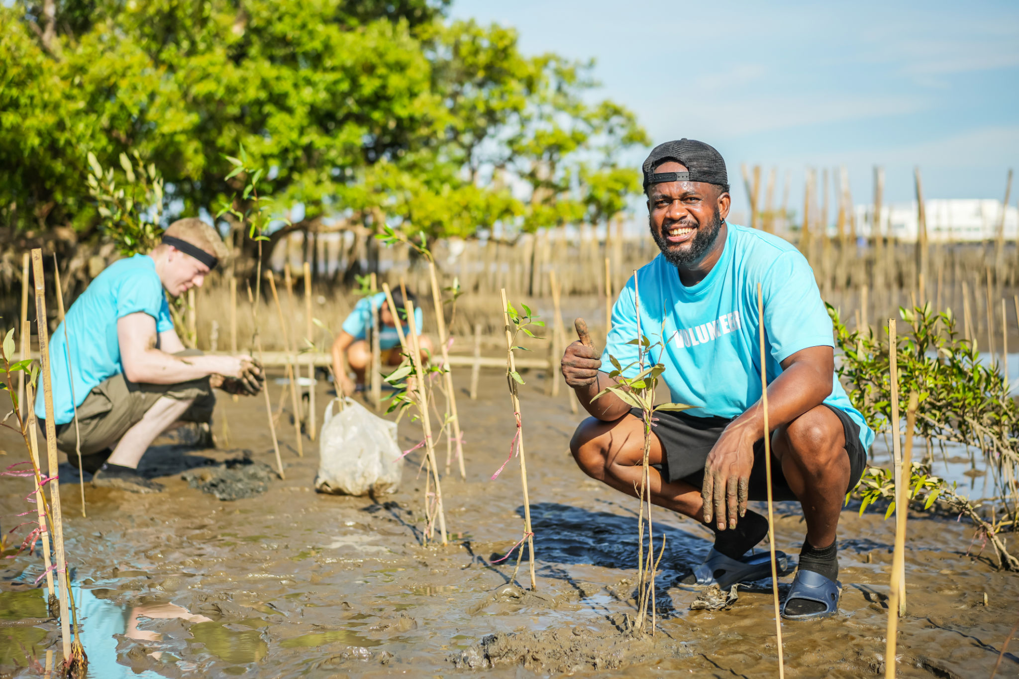 community restoration