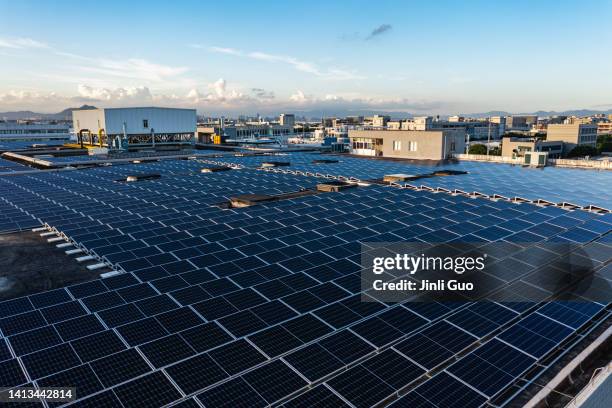 solar panels in sunlight - solar power station stock pictures, royalty-free photos & images