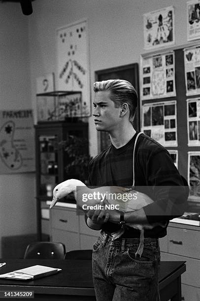 Pipe Dreams" Episode 11 -- Air Date -- Pictured: Mark-Paul Gosselaar as Zack Morris -- Photo by: Joseph Del Valle/NBCU Photo Bank