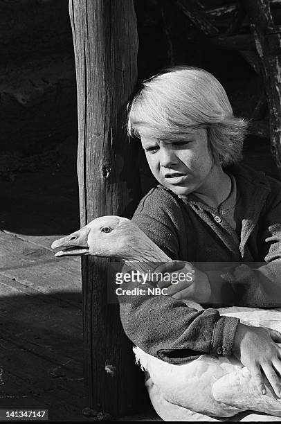 Doll of Sorrow" Episode 28 -- Aired 4/22/1964 -- Pictured: Darby Hinton as Israel Boone -- Photo by: Paul W. Bailey/NBCU Photo Bank