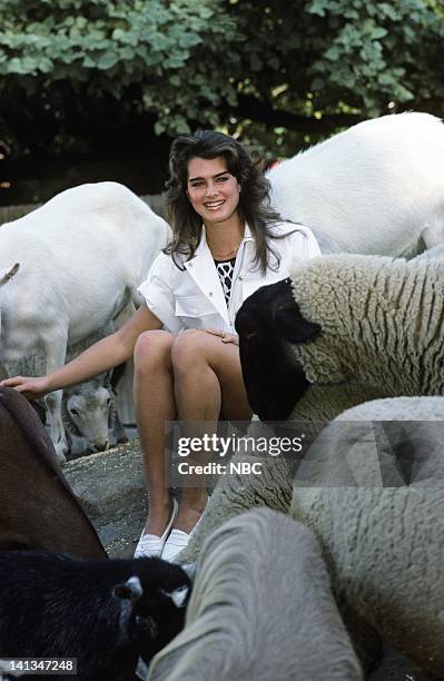 Air Date -- Pictured: Actress Brooke Shields -- Photo by: Ron Tom/NBCU Photo Bank