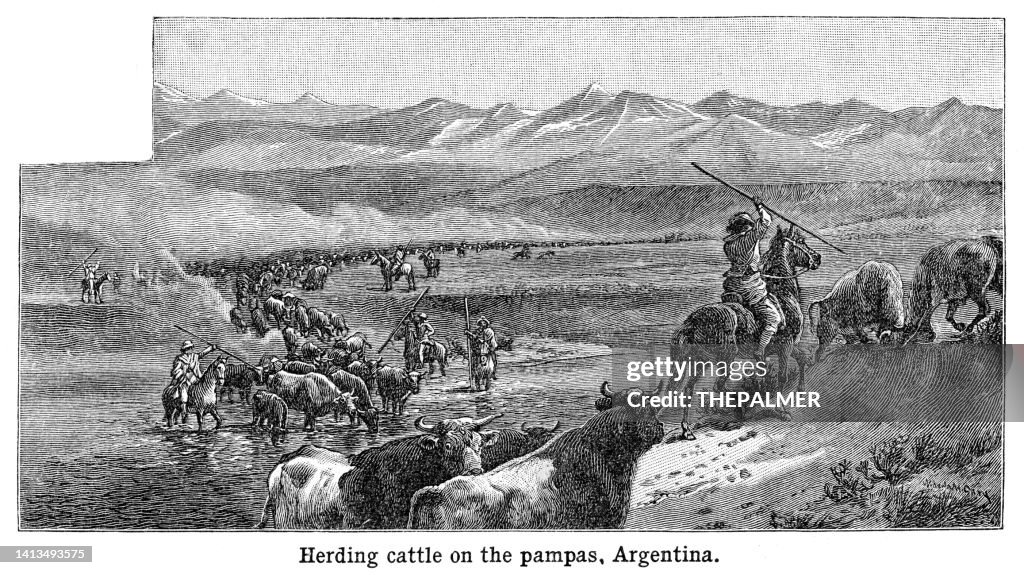 Pastoreo de ganado en las pampas, Argentina - grabado en blanco y negro 1898
