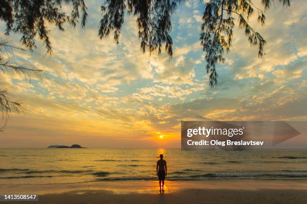 silhouette of person enjoying fantastic colorful tropical sunset at the beach. travel concept. - beauty in nature beach fantasy stock pictures, royalty-free photos & images