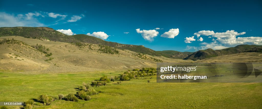 Aerial Panorama of Meadow in the Rocky Mountains