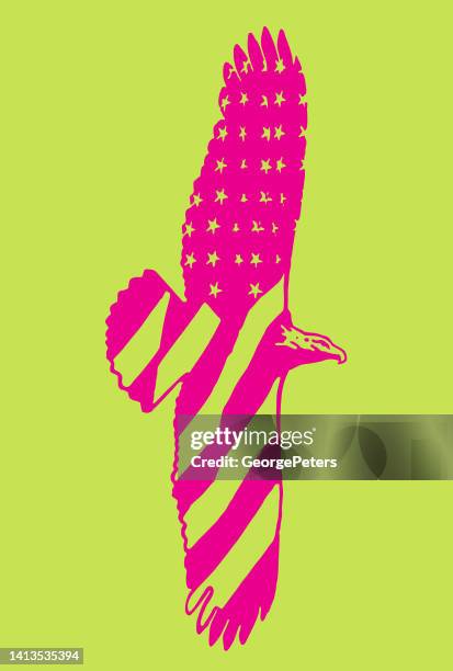 bald eagle and american flag - bald eagle wings stock illustrations