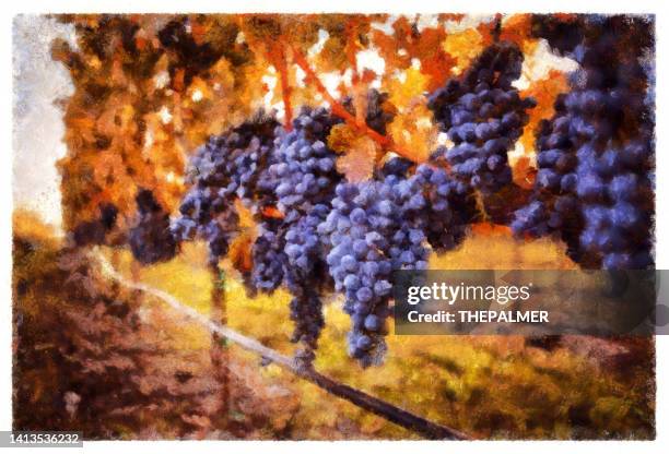 stockillustraties, clipart, cartoons en iconen met ripe grapes in napa - digital photo manipulation - napa californië