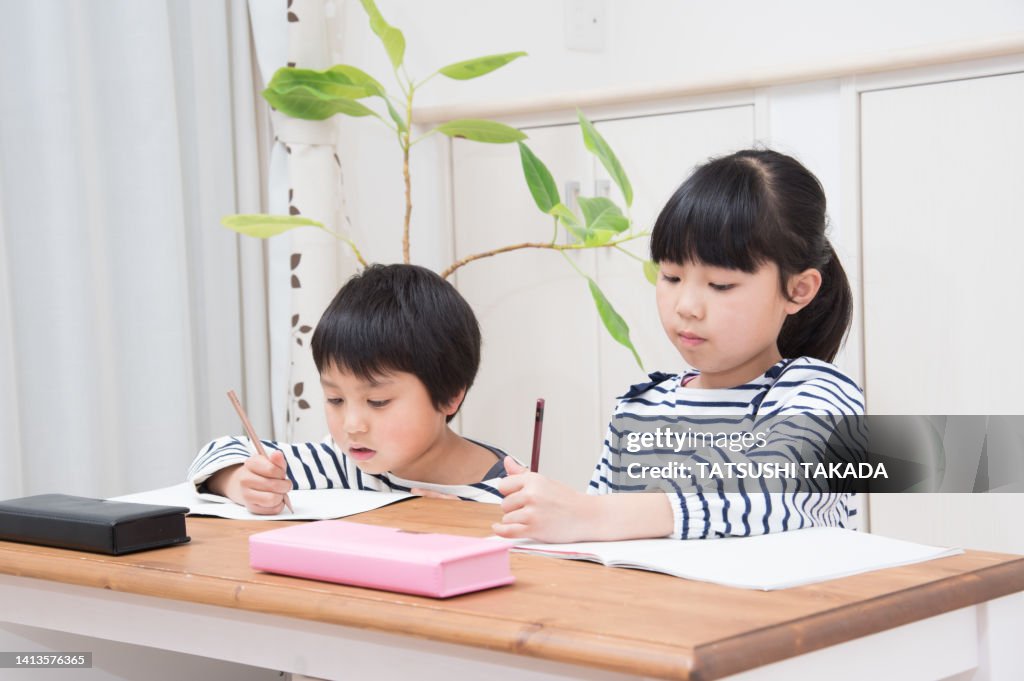 Elementary school boys and girls studying