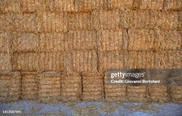 wall of hay bales - paglia foto e immagini stock