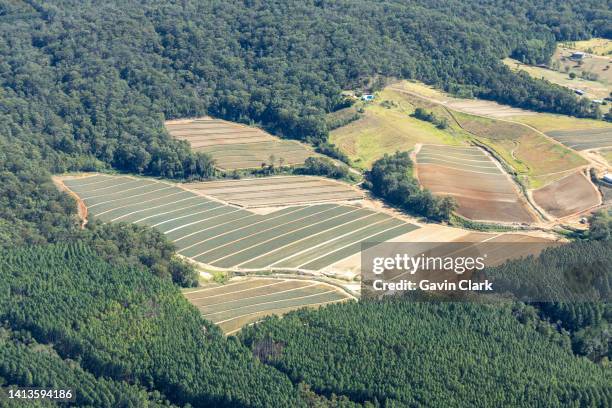 aerial images over southern sunshine coast - sunshine coast australia 個照片及圖片檔