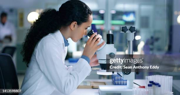 serious and focused scientist testing new medicine samples for virus disease in a modern biology science lab. female  working with futuristic medical equipment to analyze research data for vaccine - doctor lab coat bildbanksfoton och bilder