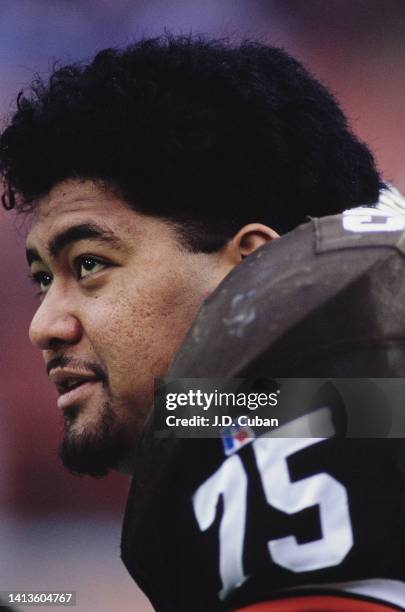 Pio Sagapolutele, Defensive Tackle and Defensive End for the Cleveland Browns looks on from the side line during the National Football Conference...