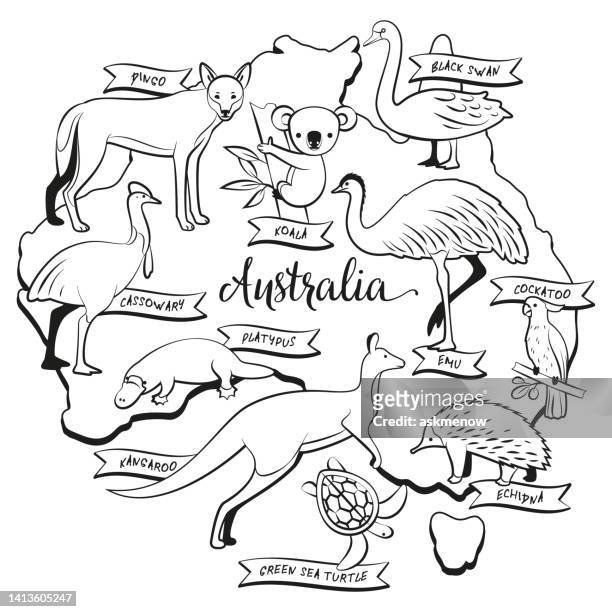 ilustraciones, imágenes clip art, dibujos animados e iconos de stock de dibujo de animales y aves de australia para colorear - echidna